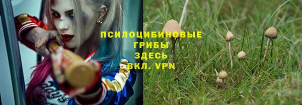 spice Ладушкин