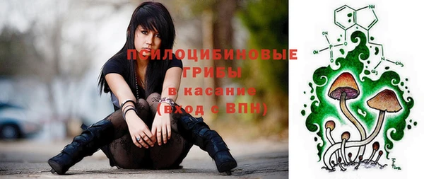 spice Ладушкин