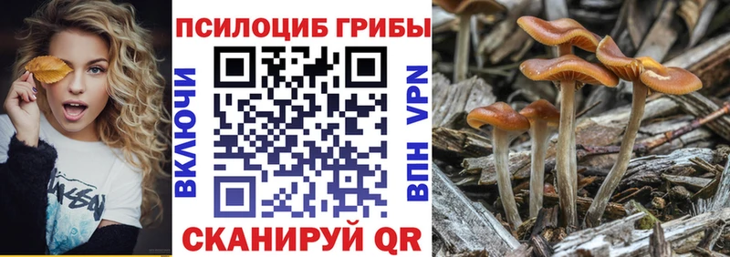 Купить  Верхний Тагил  Галлюциногенные грибы GOLDEN TEACHER 